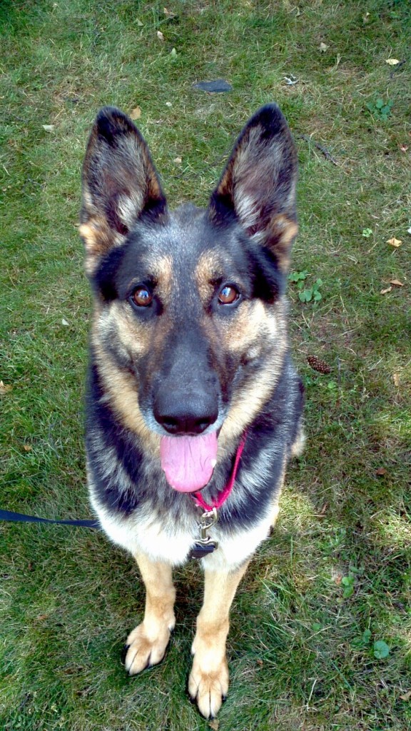 Duke
