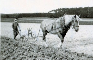 Horse-plow