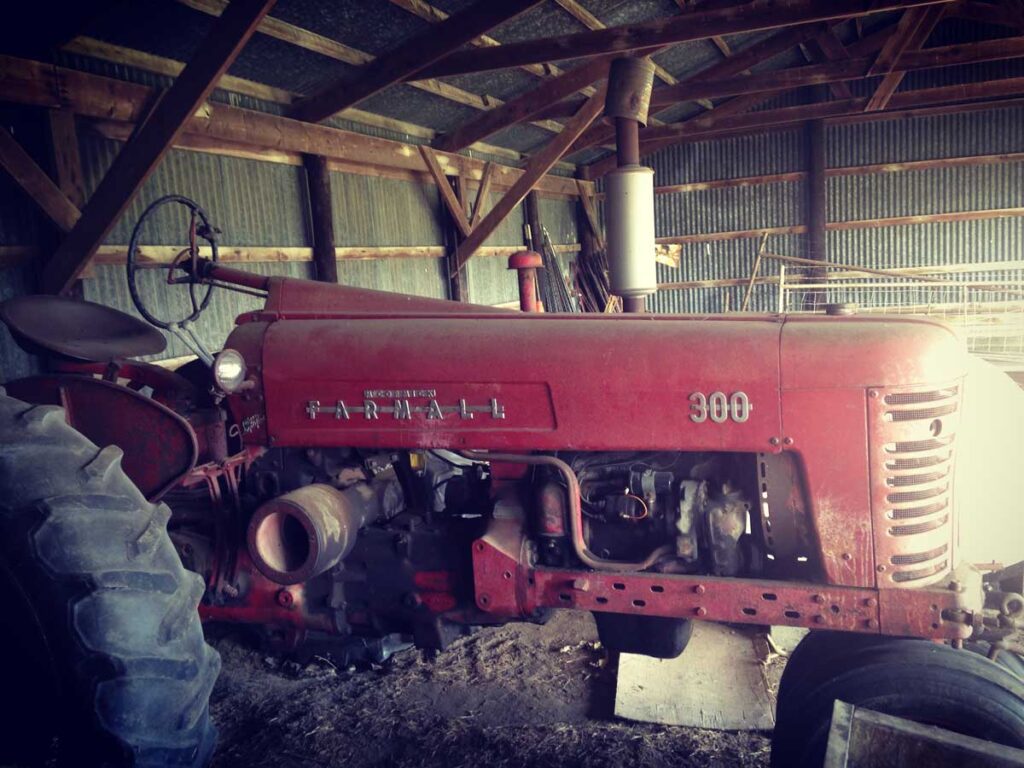 Farmall 300 in shed