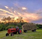 Allis Chalmers Tractor