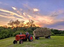 Allis Chalmers Tractor