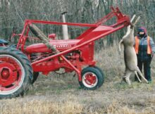 1953 Farmall Super H with deer