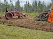 Farmall tractor