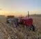 Farmall tractor
