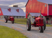 2 Farmall tractors