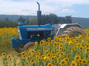 Ford tractor