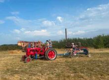Farmall tractor in field