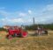 Farmall tractor in field