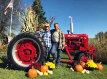 1949 Farmall H