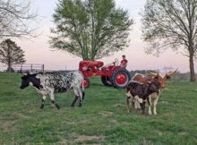 Avery R tractor